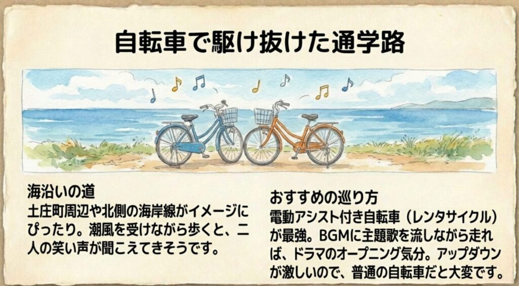 海沿いの通学路を自転車で走るイメージと海岸線のイラスト
