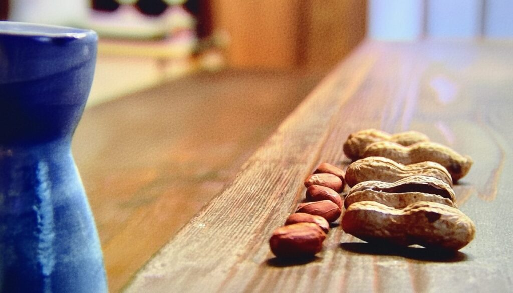 劇中歌まよい猫の歌詞と作詞家