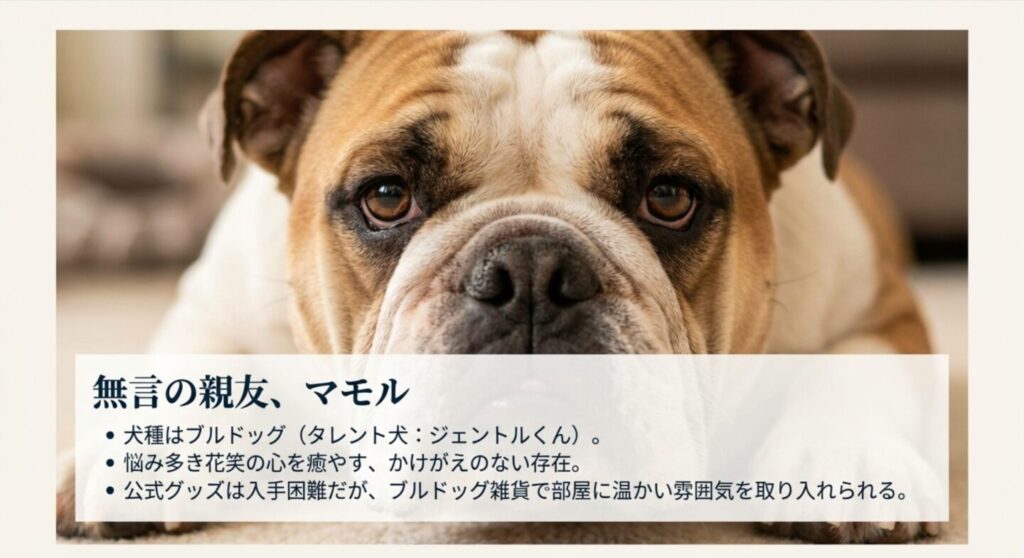 犬種ブルドッグのマモルとグッズ情報