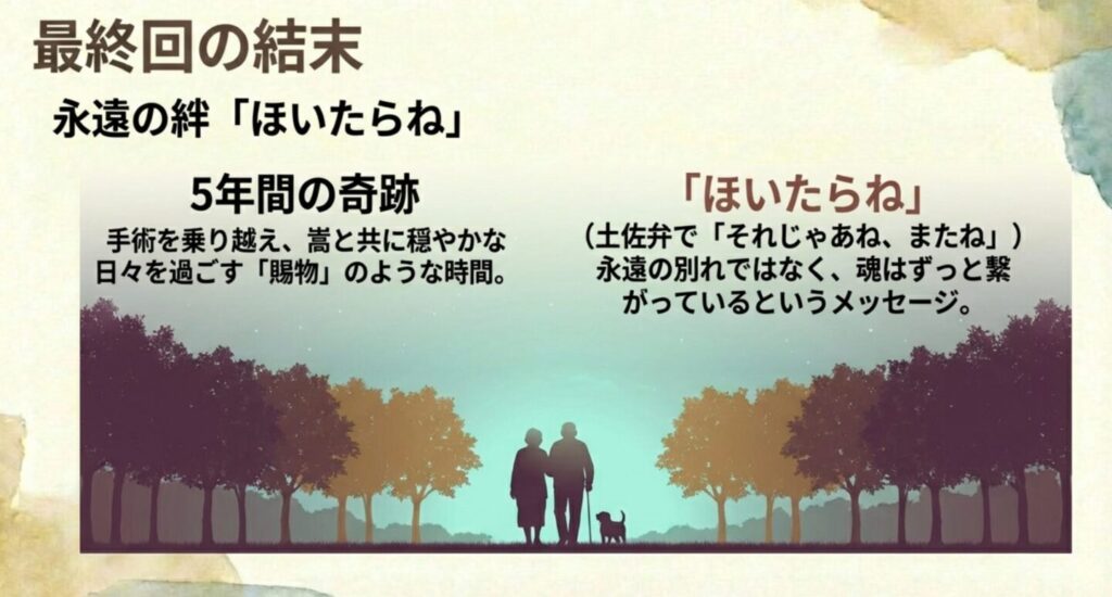 朝ドラあんぱんのネタバレあらすじ総括